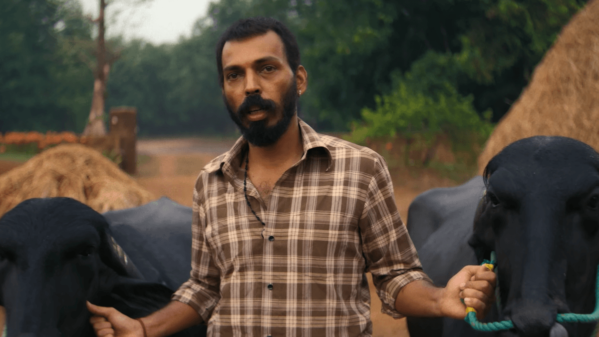 Karavali Movie Review: How the Kambala Thriller Falters in Character Development and Pace