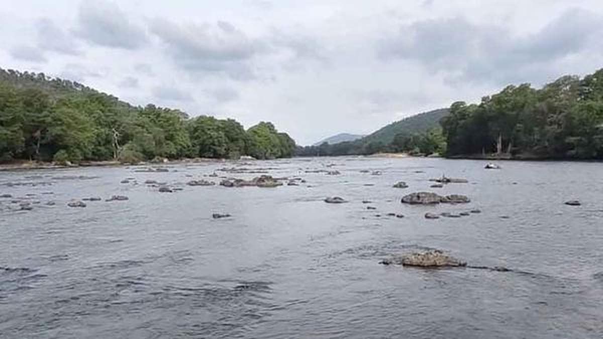 Karnataka and Tamil Nadu Fight Over River Water