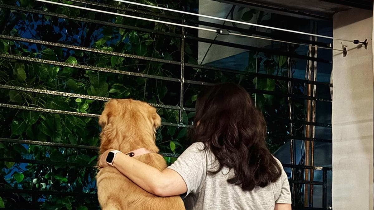 Pet Care Businesses Are Growing Fast in India