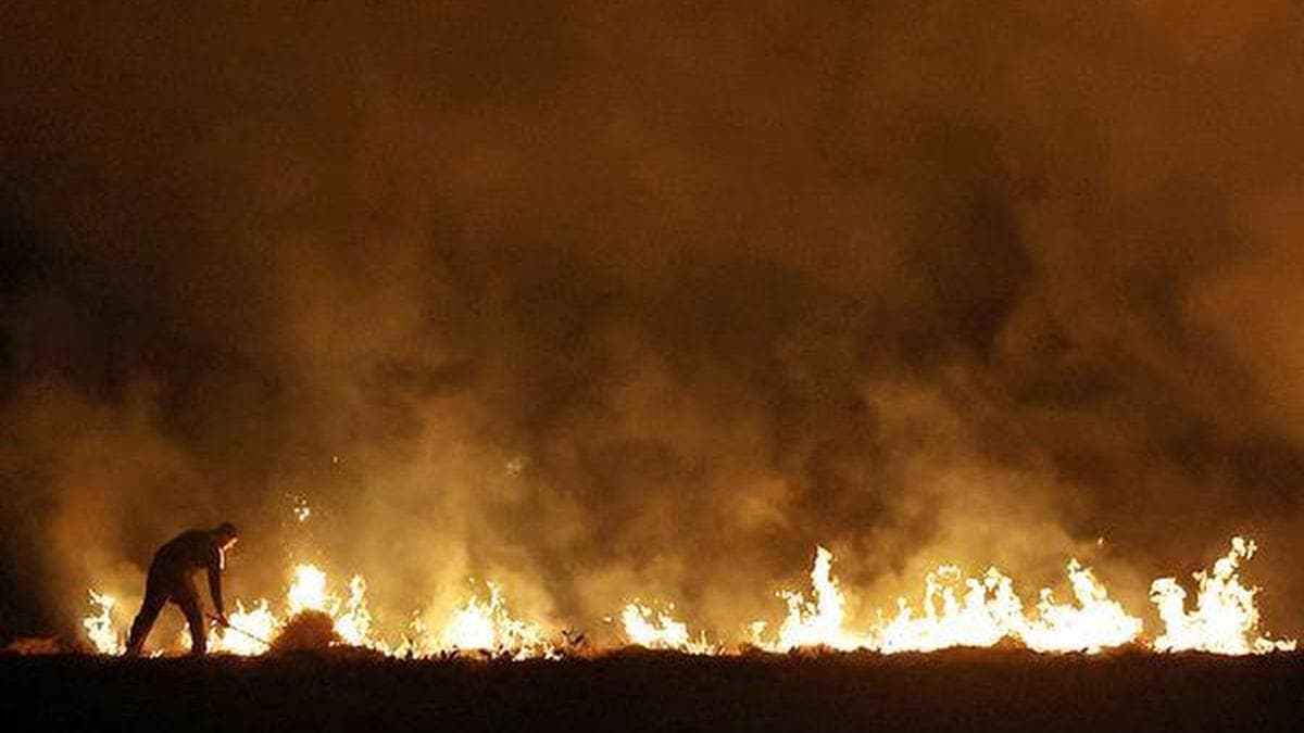 Delhi Uses Drones to Stop Farmers From Burning Crop Waste